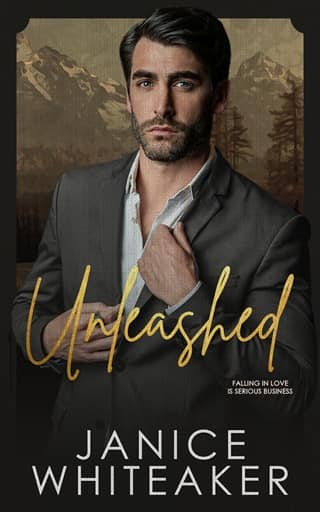 Unleashed by Janice Whiteaker (ePUB) by Janice Whiteaker - ePub cover
