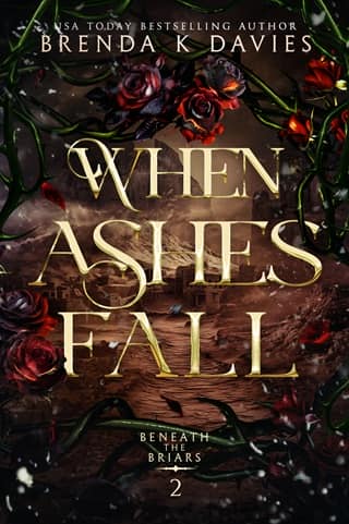 When Ashes Fall by Brenda K Davies (ePUB) by Brenda K Davies - ePub cover